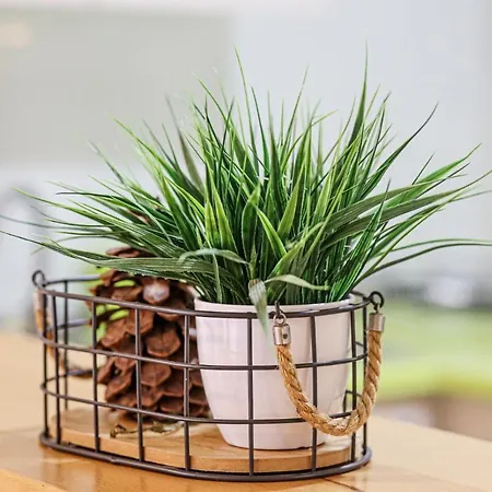 דירה Sunny Duplex Martines *